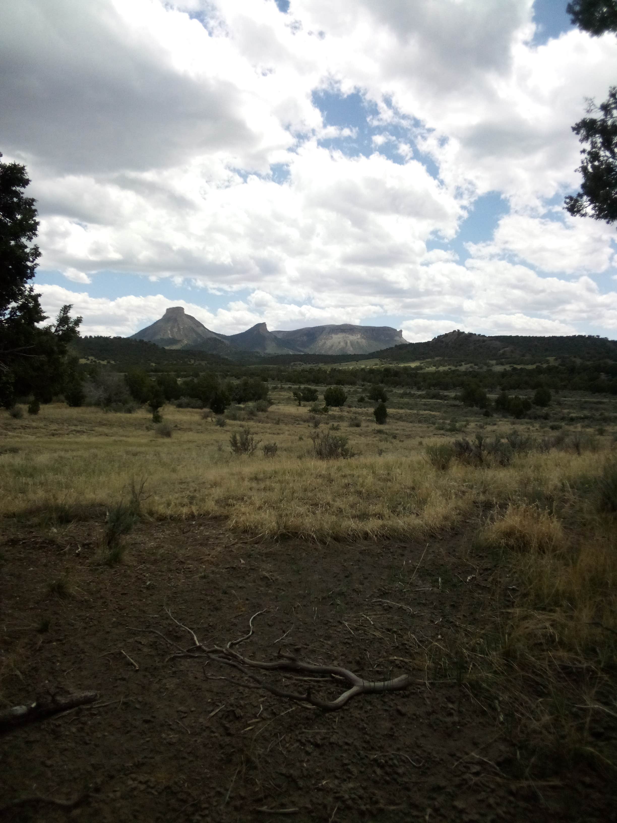 Tracy H.'s photo of a dispersed camping area at Chutes and Ladders Dipsersed near Shiprock, NM
