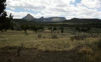 Tracy H.'s photo of a dispersed camping area at Chutes and Ladders Dipsersed near Farmington, NM
