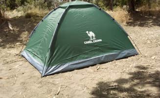 Tracy H.'s photo at Chutes and Ladders Dipsersed near Cortez, CO