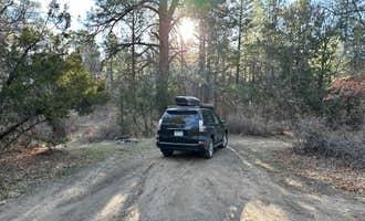 Camping near Lavaland RV Park: Cibola National Forest Lobo Canyon Campground, Grants, New Mexico