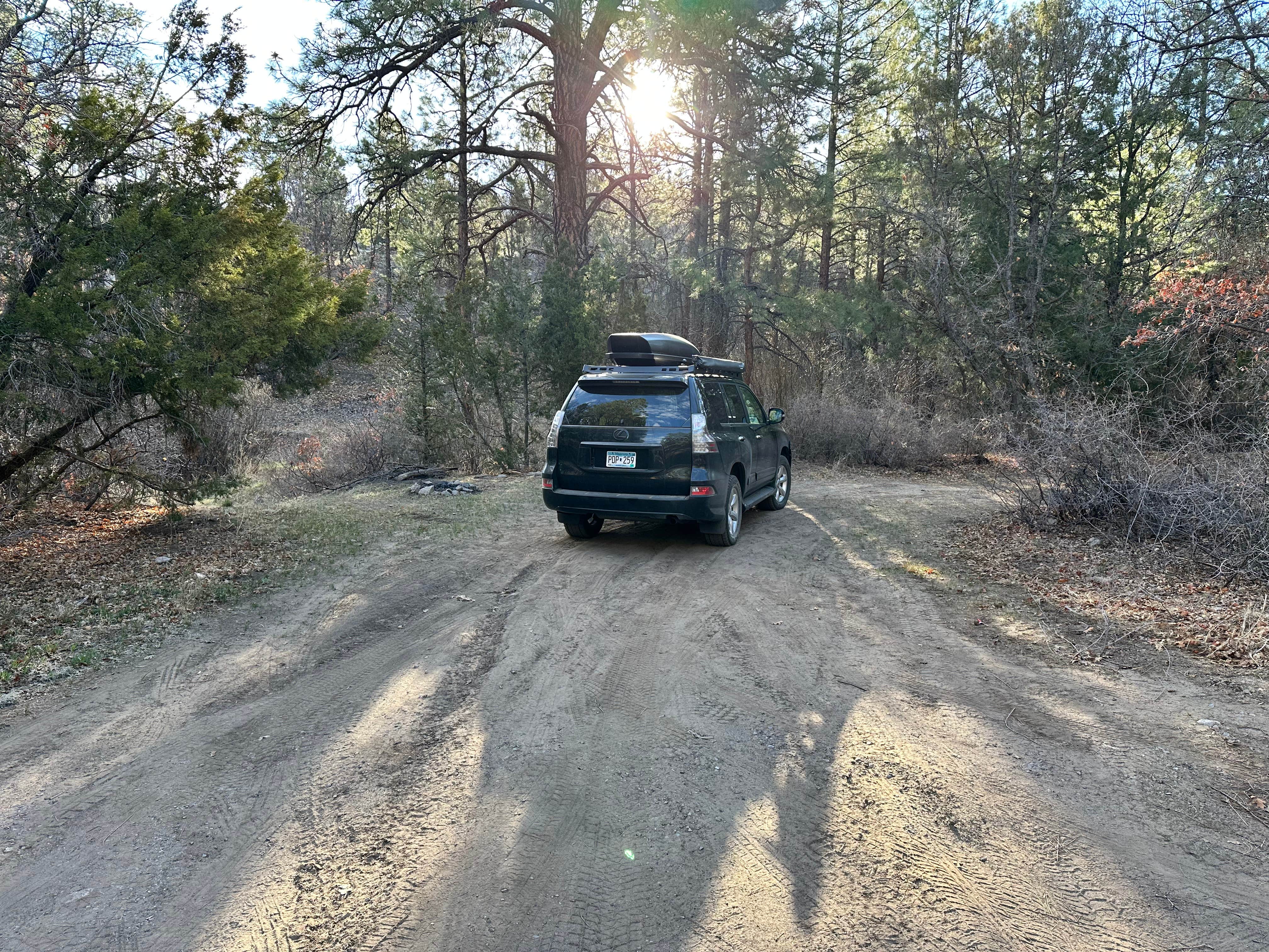 Camper submitted image from Cibola National Forest Lobo Canyon Campground - 1