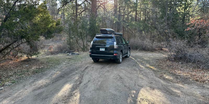 Camper submitted image from Cibola National Forest Lobo Canyon Campground