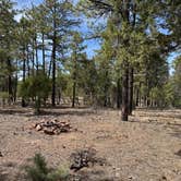 Review photo of Cibola National Forest by M K., April 18, 2026