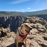Review photo of Cimarron Campground (CO) — Curecanti National Recreation Area by Wm S., September 5, 2026