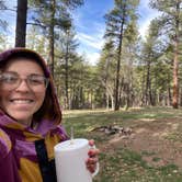 Review photo of Cinder Hills Off Highway Vehicle Area by Sydney D., March 24, 2026