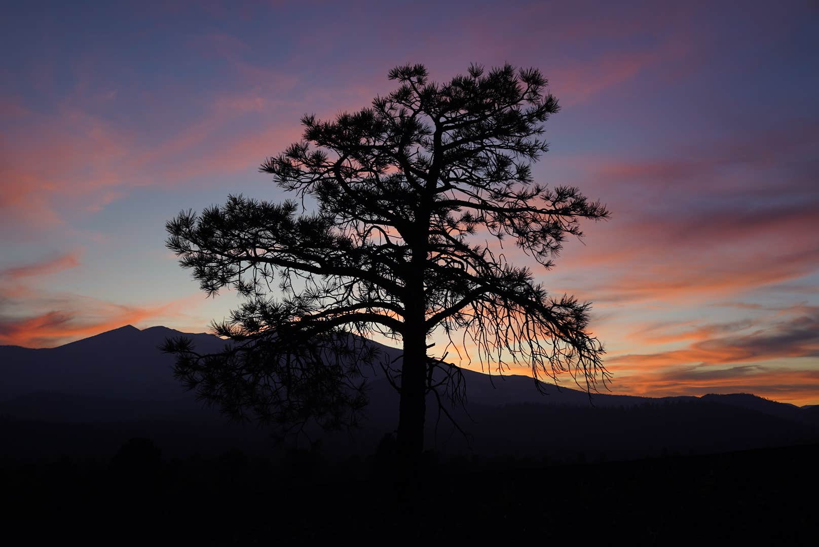 Daniel C.'s photo of a dispersed camping area at Cinder Hills Off Highway Vehicle Area near Gray Mountain, AZ