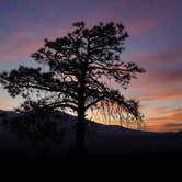 Review photo of Cinder Hills Off Highway Vehicle Area by Daniel C., September 28, 2023