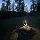 Review photo of Cinder Hills Off Highway Vehicle Area by Sydney D., March 24, 2026