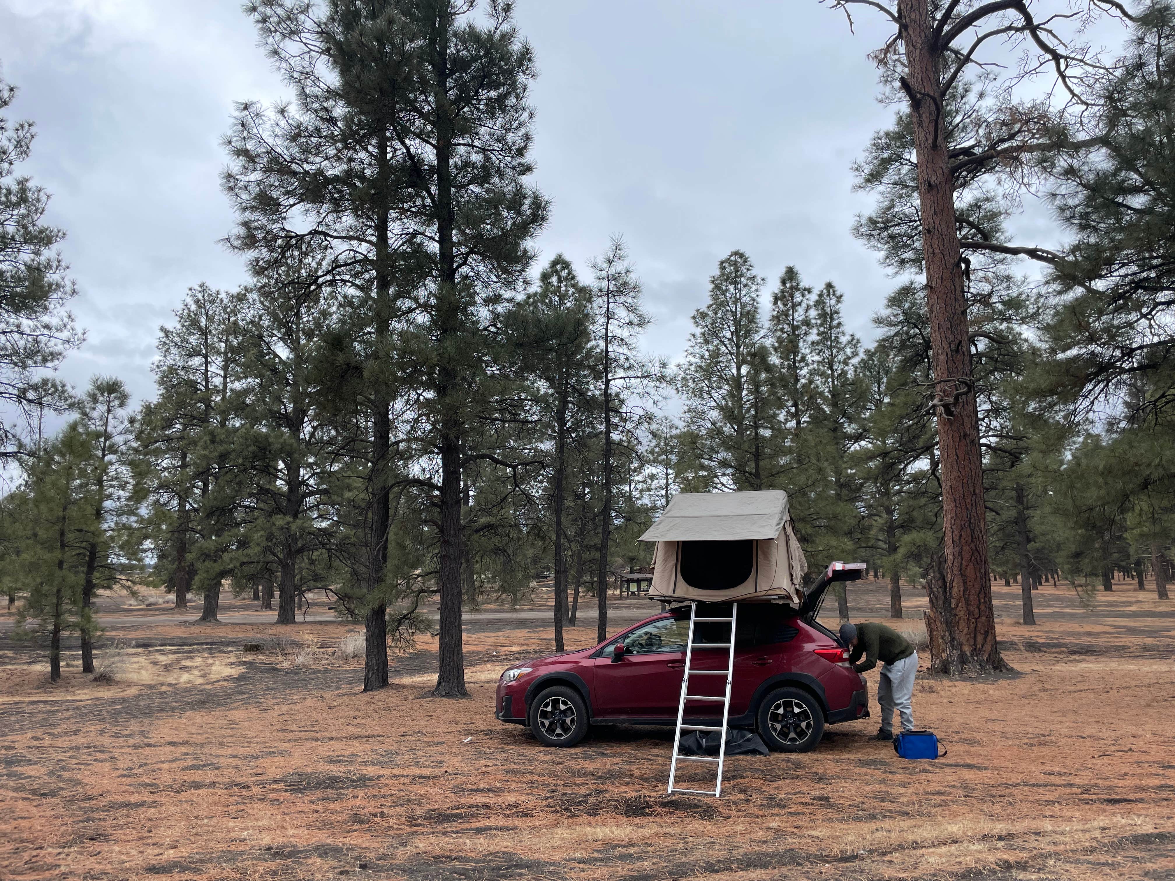 Hailey S.'s photo at Cinder Hills Off Highway Vehicle Area near Leupp, AZ
