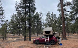 Hailey S.'s photo at Cinder Hills Off Highway Vehicle Area near Leupp, AZ