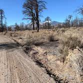Review photo of Cinder Hills Off Highway Vehicle Area by Ashley D., February 8, 2026