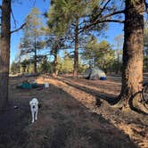 Review photo of Cinder Hills Off Highway Vehicle Area by Catherine S., May 7, 2024