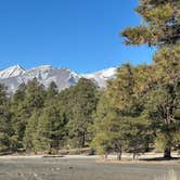 Review photo of Cinder Hills Off Highway Vehicle Area by Teresa A., February 4, 2026