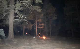 Catherine S.'s photo at Cinder Hills Off Highway Vehicle Area near Leupp, AZ