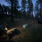 Review photo of Cinder Hills Off Highway Vehicle Area by Sydney D., March 24, 2026