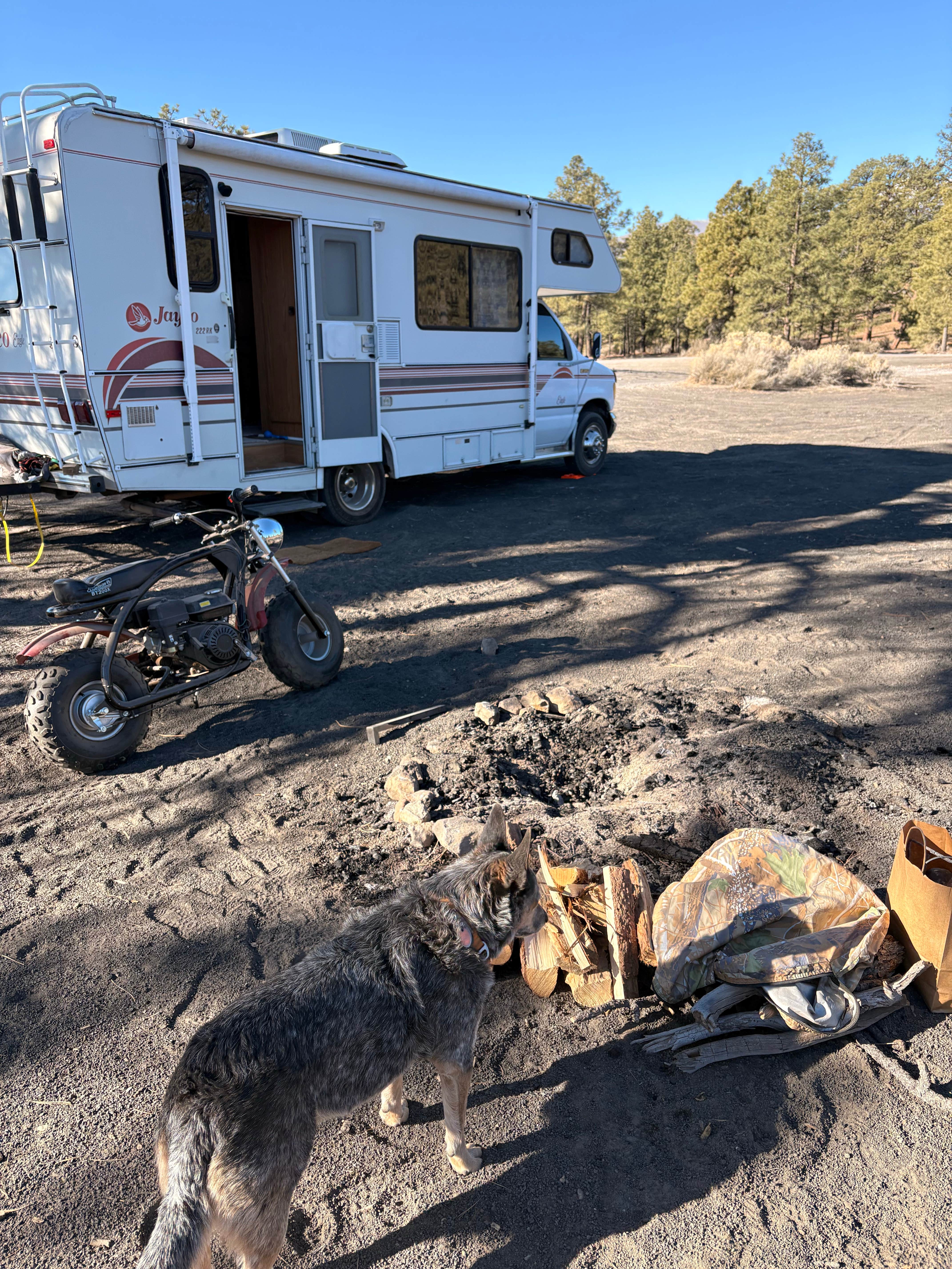 Ashley D.'s photo of rv camping at Cinder Hills Off Highway Vehicle Area near Leupp, AZ
