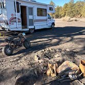 Review photo of Cinder Hills Off Highway Vehicle Area by Ashley D., February 8, 2026