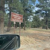 Review photo of Cinder Hills Off Highway Vehicle Area by Trevor P., May 30, 2025