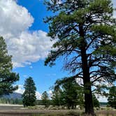 Review photo of Cinder Hills Off Highway Vehicle Area by MP C., August 30, 2025