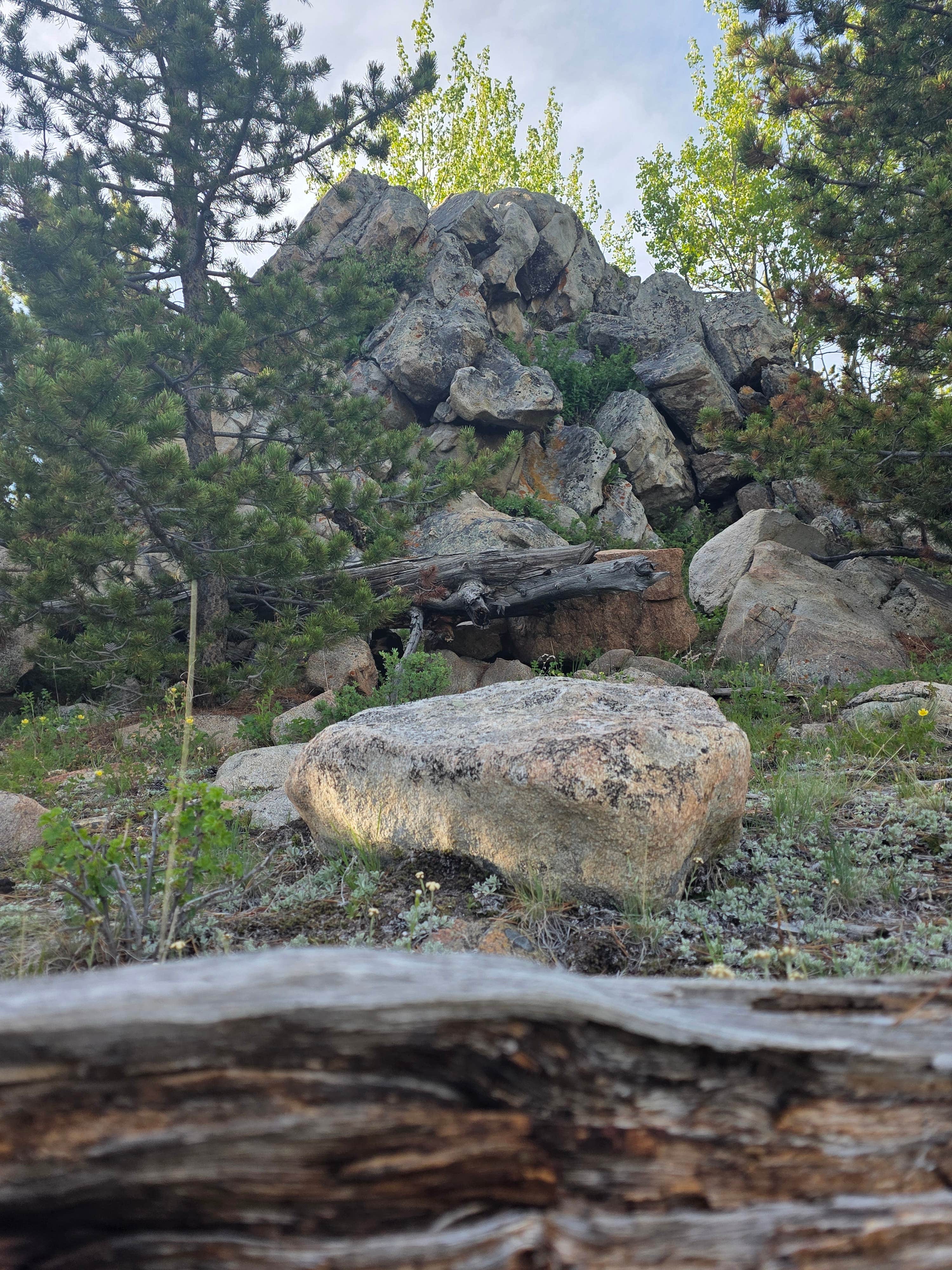 Camper-submitted photo at Circle Road Dispersed Camping near Saddlestring, WY