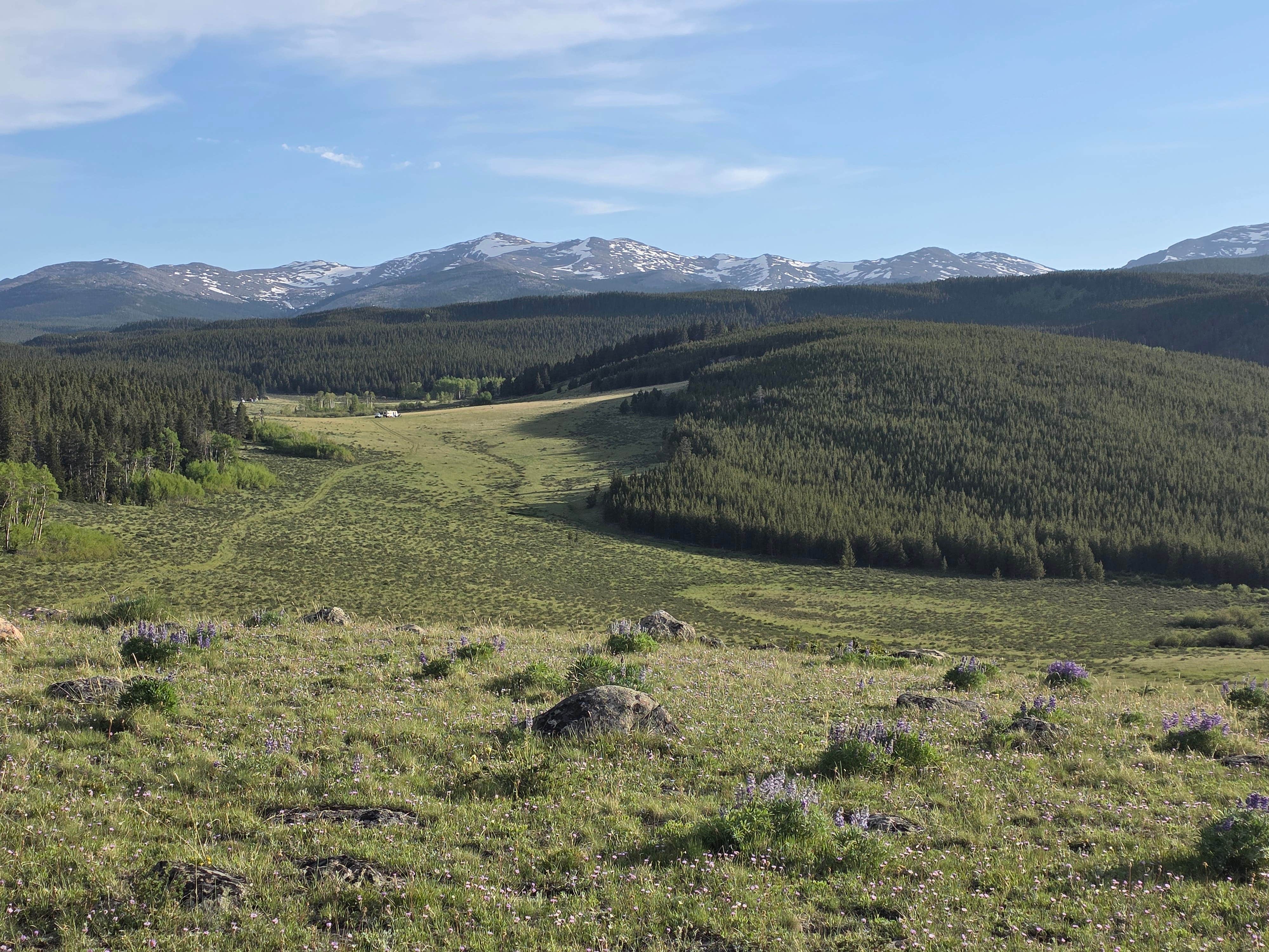 Camper-submitted photo at Circle Road Dispersed Camping near Saddlestring, WY