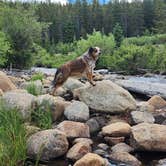 Review photo of Circle Road Dispersed Camping by Jozey B., July 10, 2026