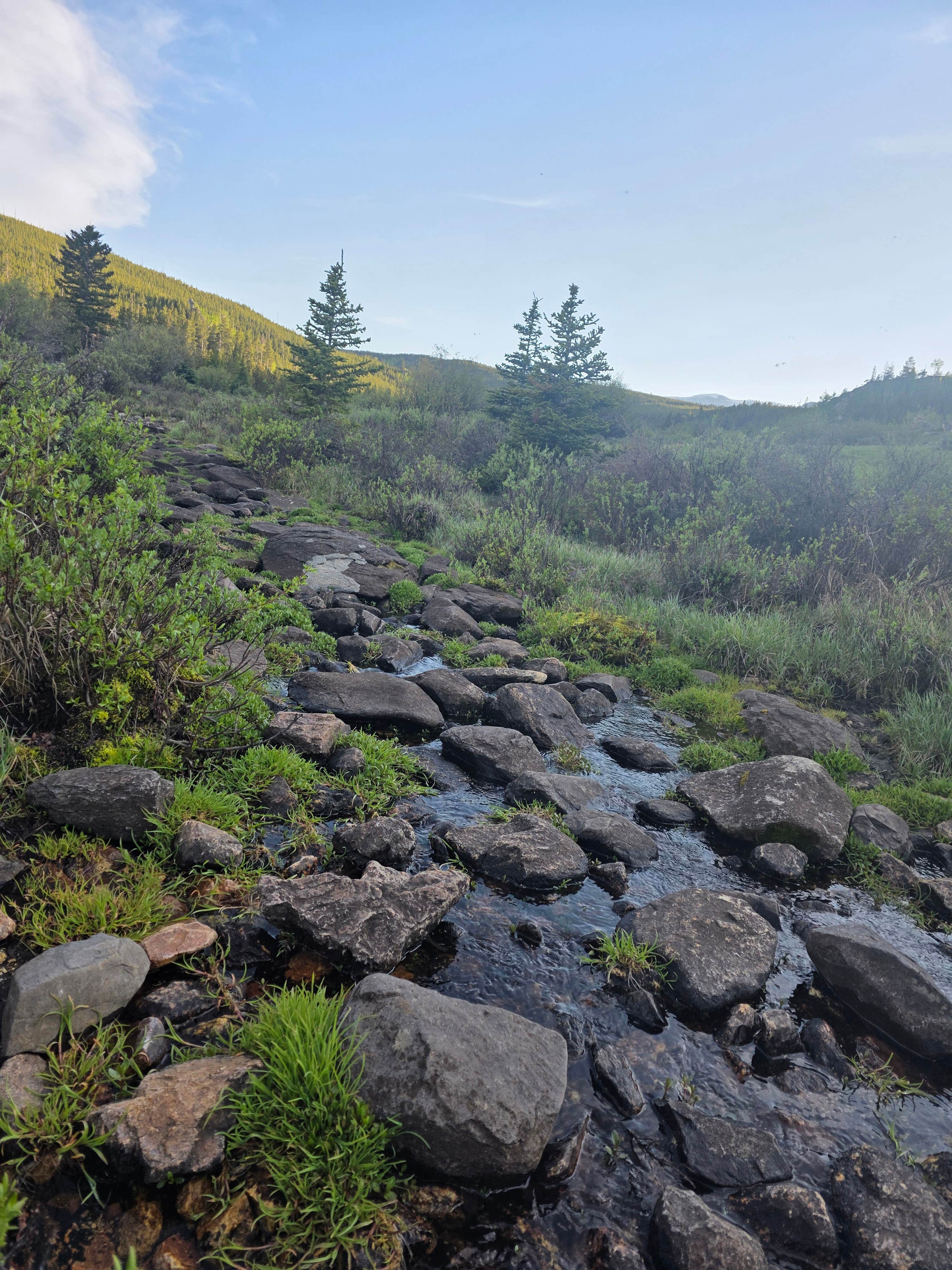 Camper submitted image from Circle Road Dispersed Camping - 5