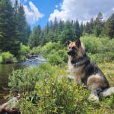 Review photo of Circle Road Dispersed Camping by Jozey B., July 10, 2026