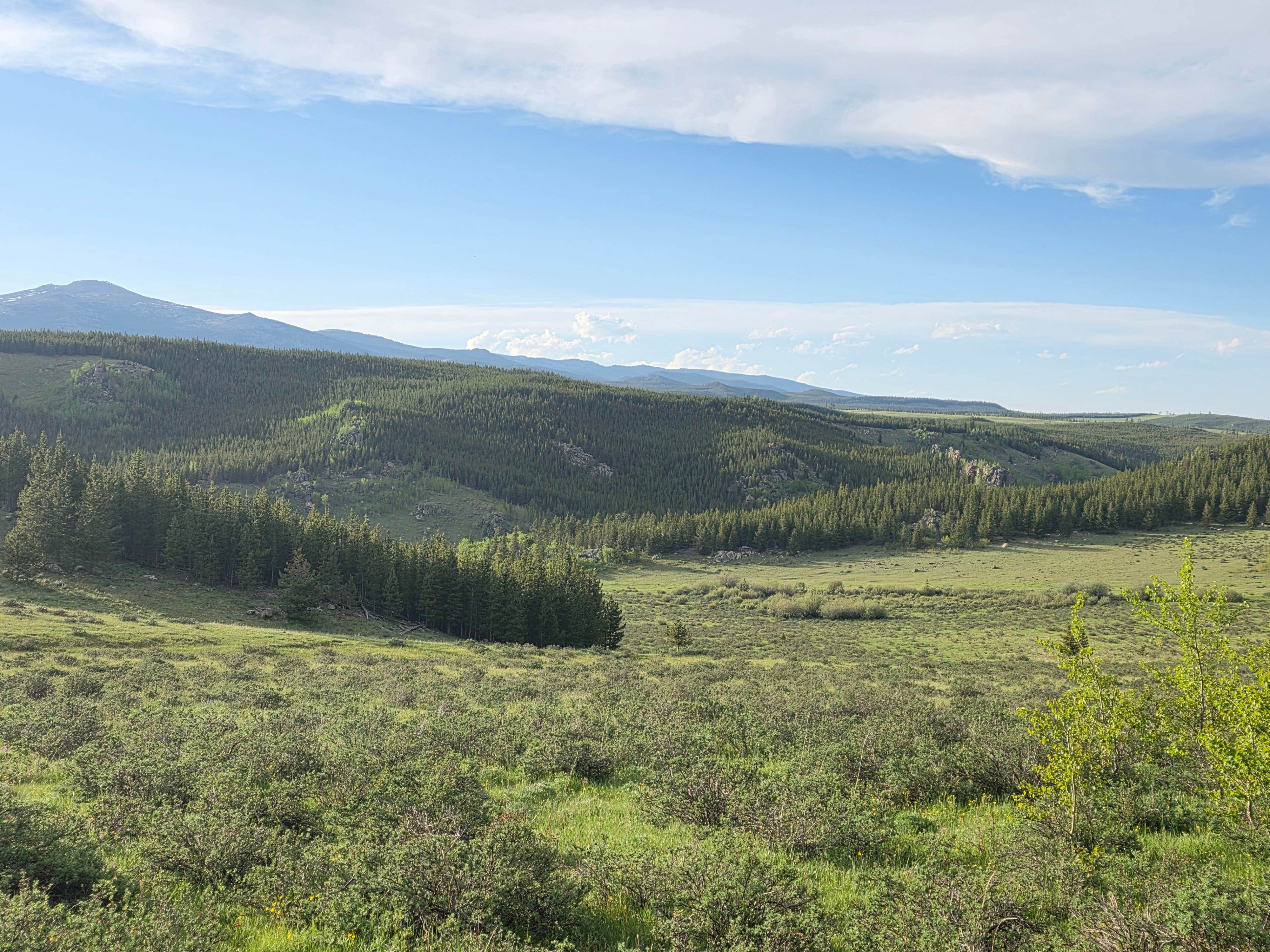 Camper-submitted photo at Circle Road Dispersed Camping near Saddlestring, WY