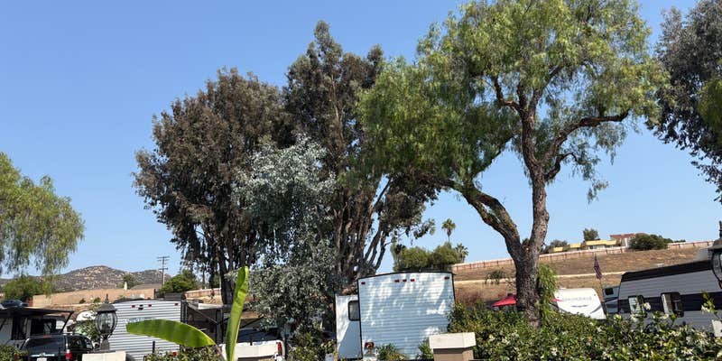 Camper submitted image from Circle RV Resort