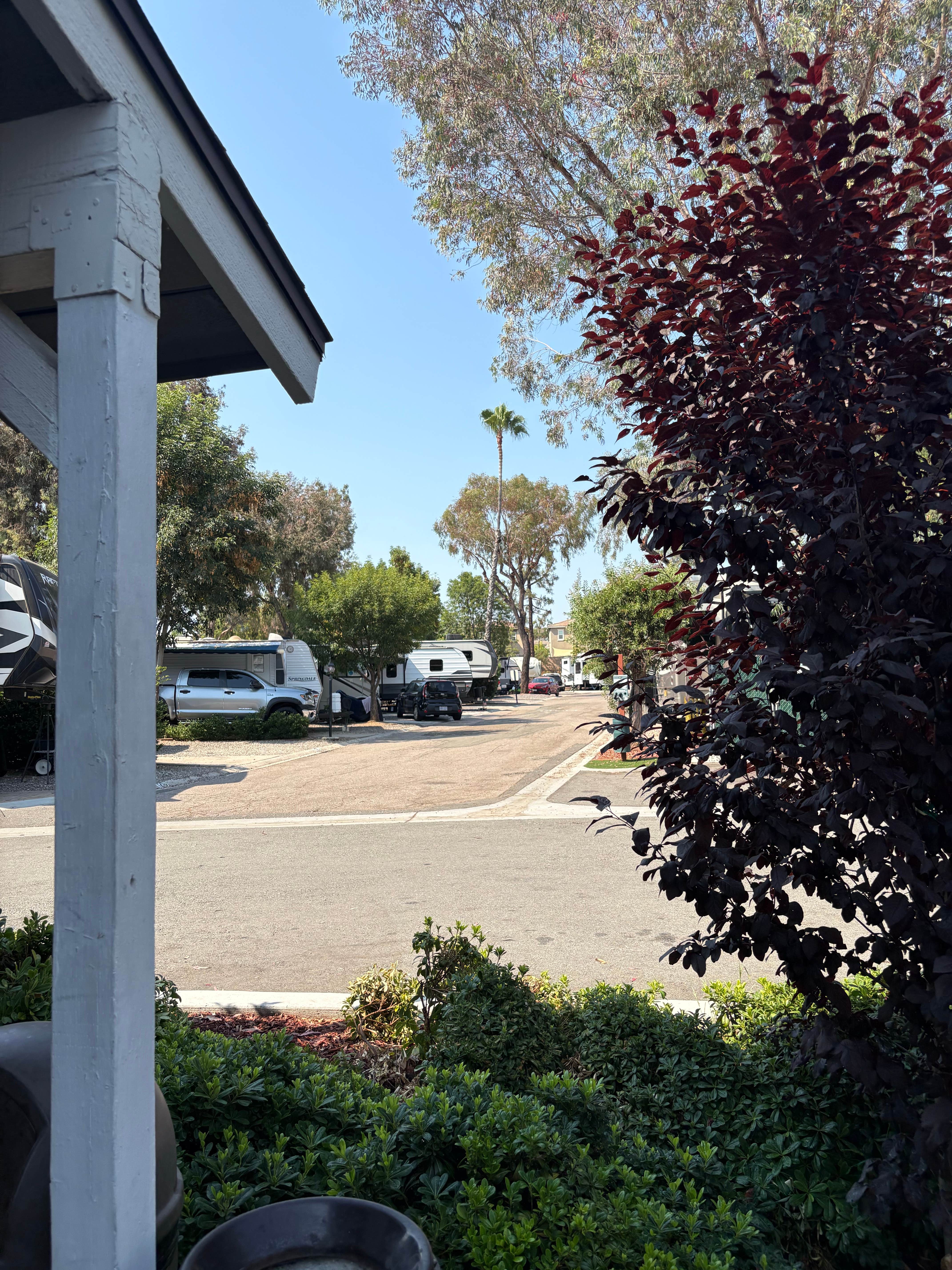 Camper-submitted photo at Circle RV Resort near Bonita, CA