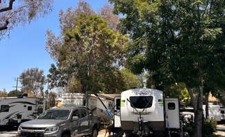 Joel E.'s photo of camping with pets at Circle RV Resort near Imperial Beach, CA