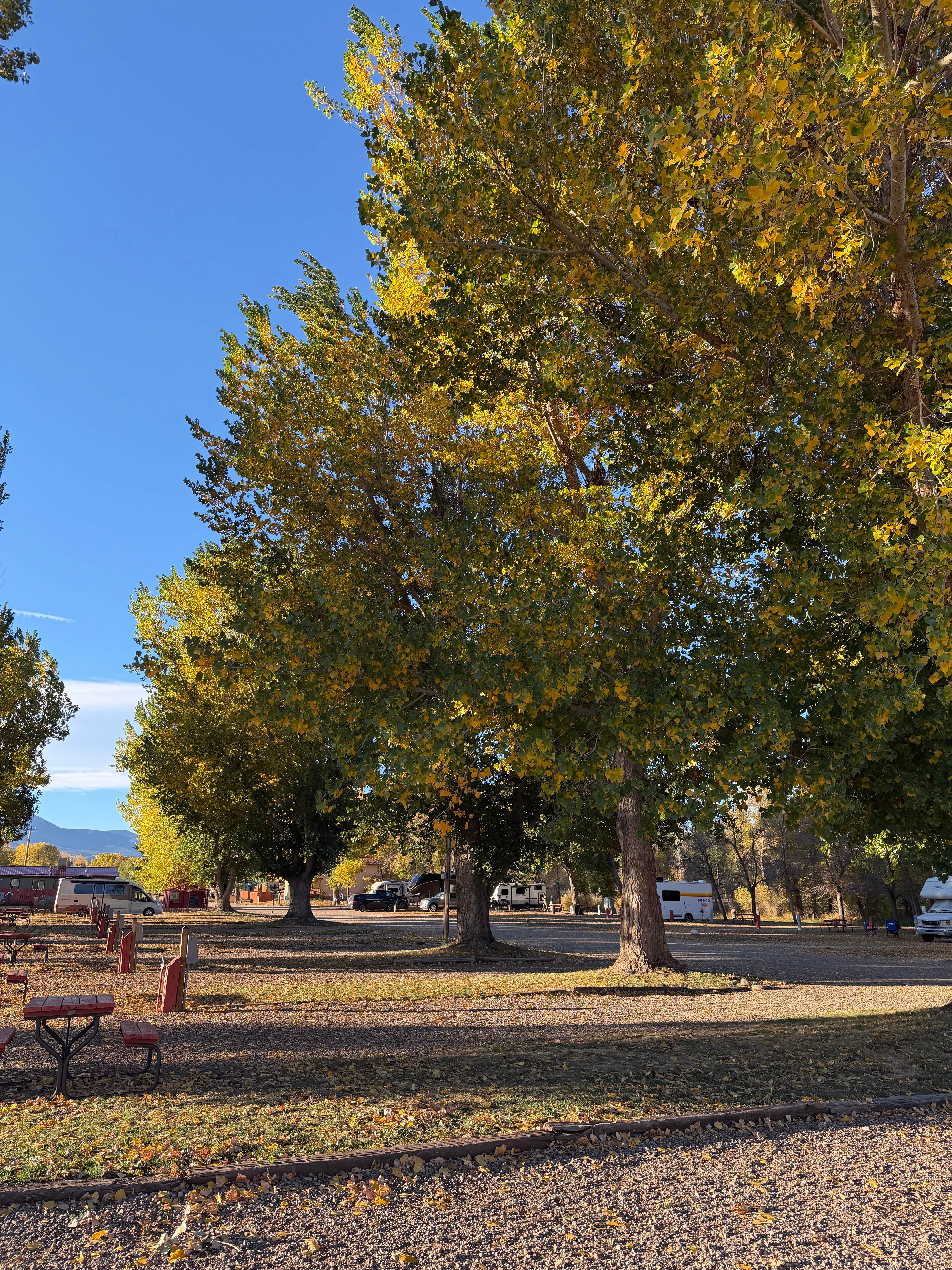 Camper-submitted photo at Circle the Wagons RV Park near Walsenburg, CO