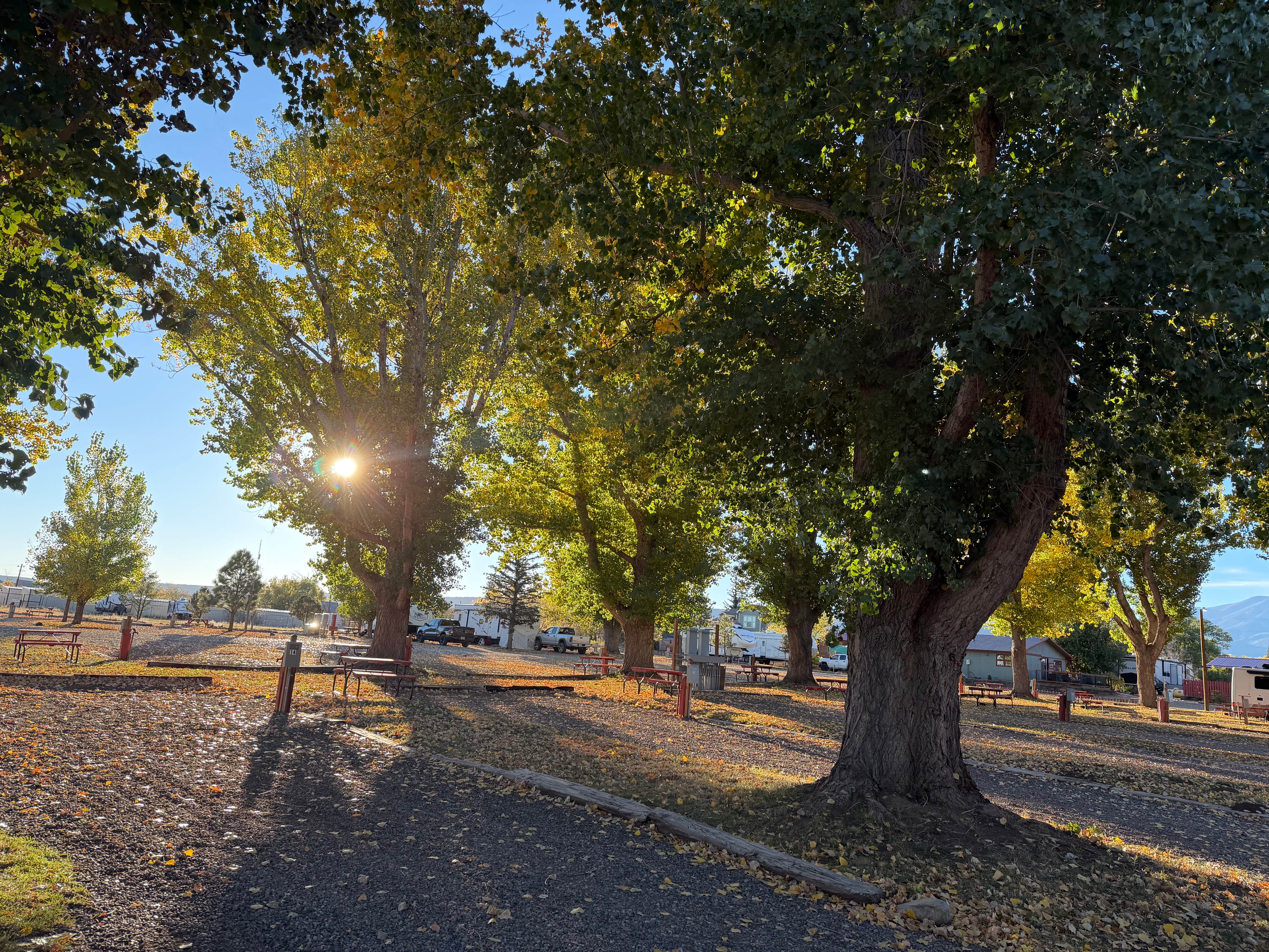 Camper submitted image from Circle the Wagons RV Park - 2