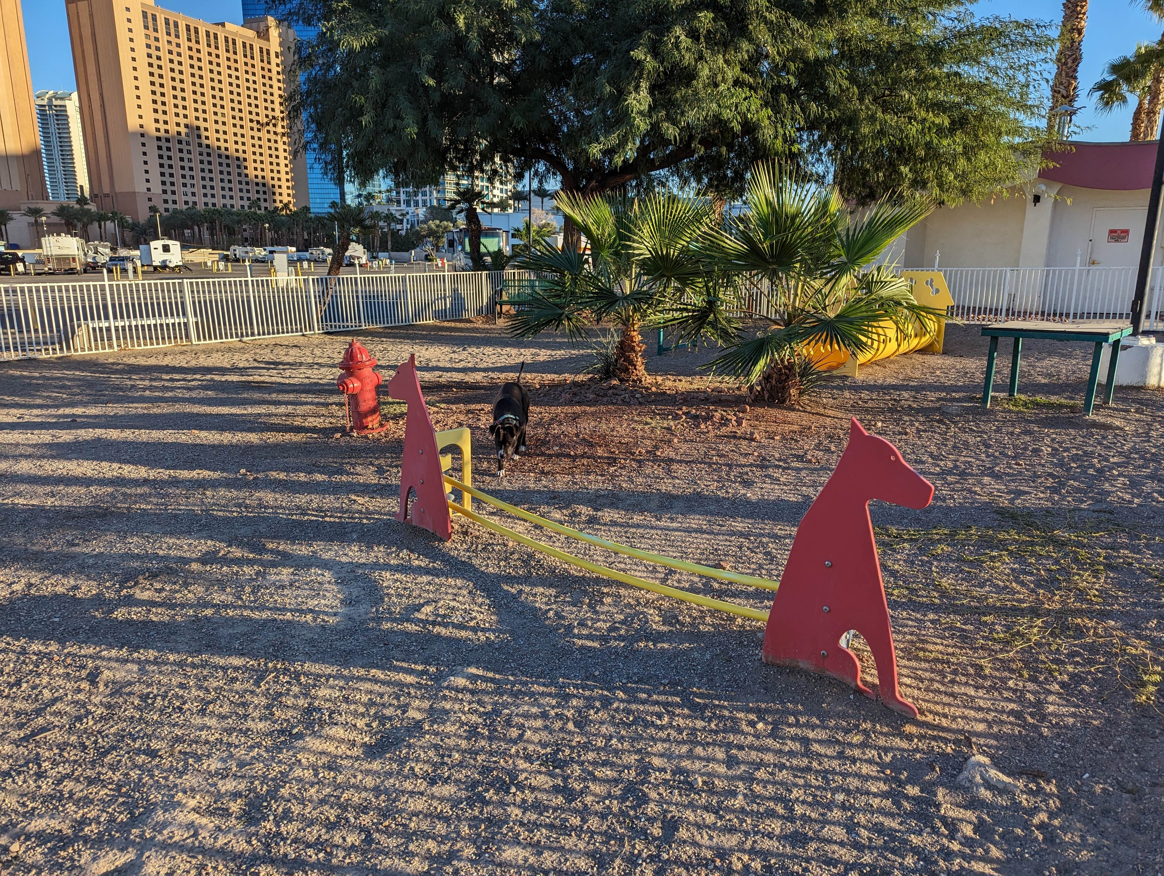 Camper-submitted photo at Circus Circus RV Park near Henderson, NV