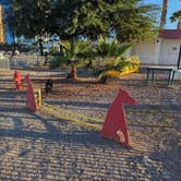 Review photo of Circus Circus RV Park by Kristi D., November 12, 2023