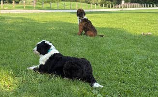 Timothy R.'s photo of camping with pets at Citizens Lake Campground near New London, IA