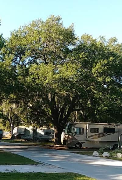 Camper-submitted photo at Citrus Hills RV Park near Plant City, FL