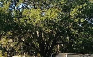 suzanna  G.'s photo of rv camping at Citrus Hills RV Park near Thonotosassa, FL