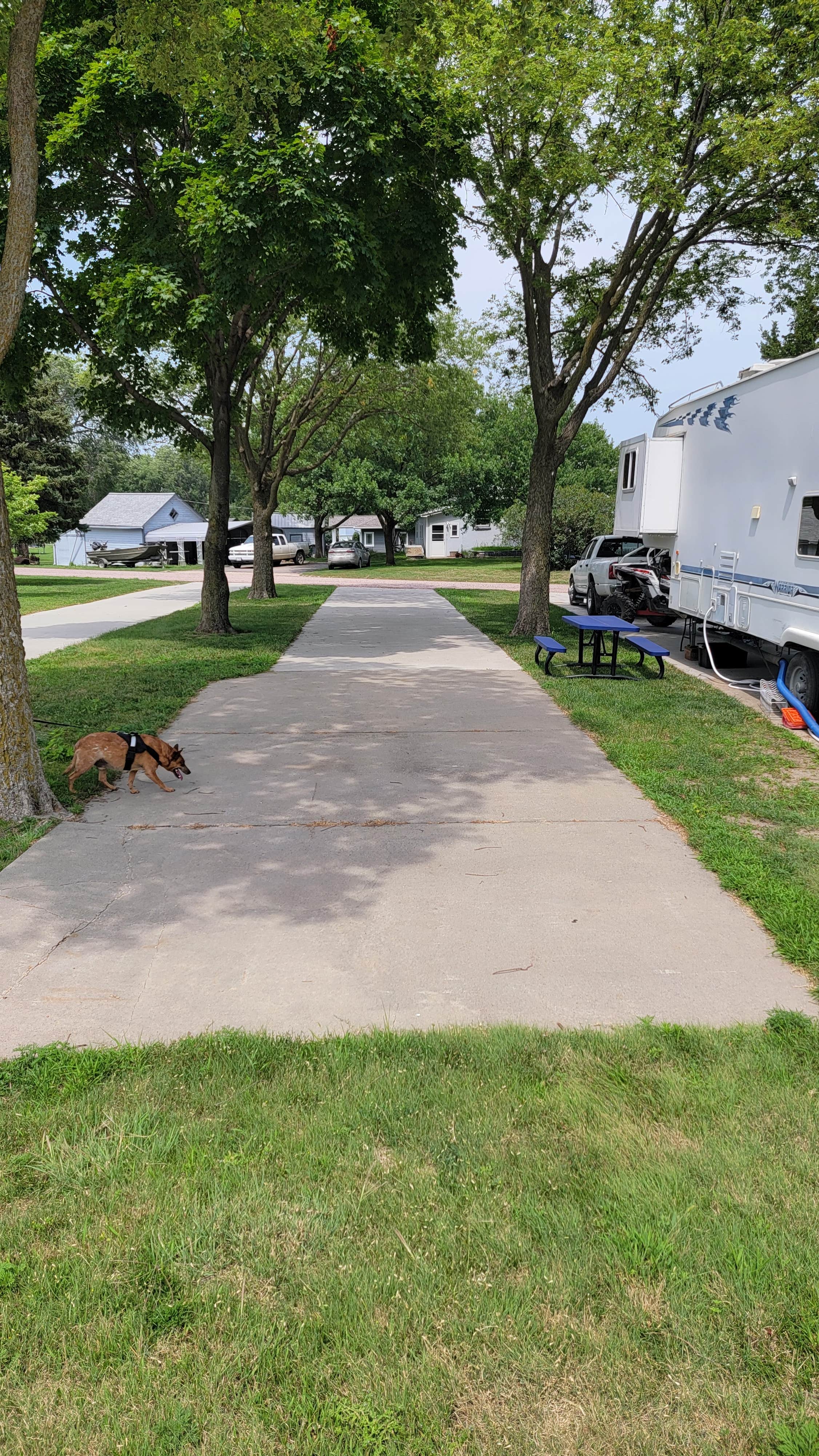 Bibs O.'s photo of camping with pets at City of Hartington Campground near Norfolk, NE