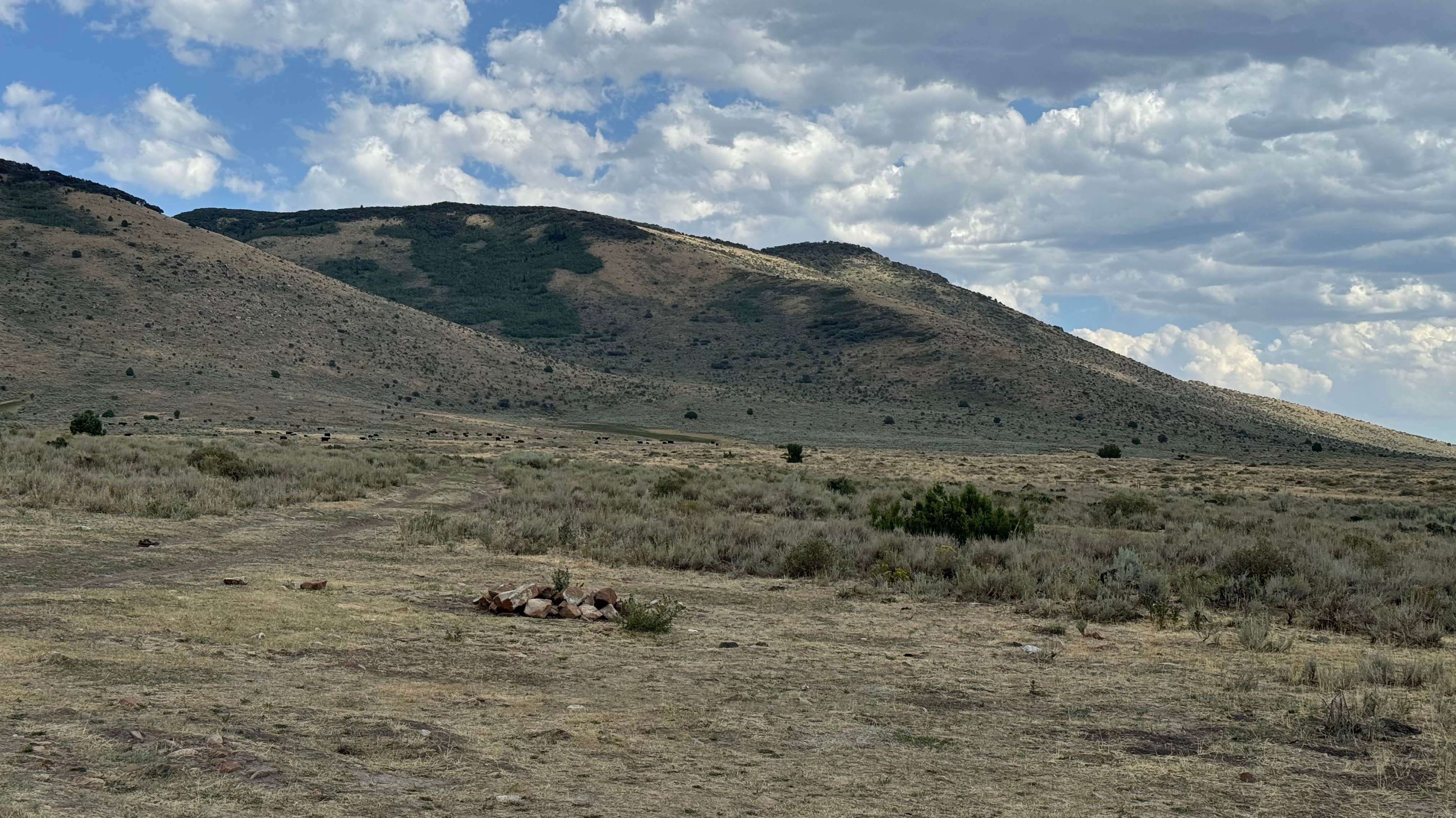 Camping near City of Rocks Campground — City of Rocks Natural Reserve: City of Rocks Dispersed, Almo, Idaho