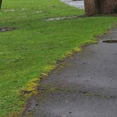 Review photo of Clackamette RV Park by Jill N., March 12, 2026