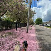 Review photo of Clackamette RV Park by Mike M., May 31, 2025