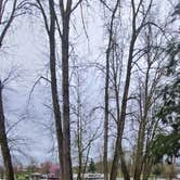 Review photo of Clackamette RV Park by Jill N., March 12, 2026
