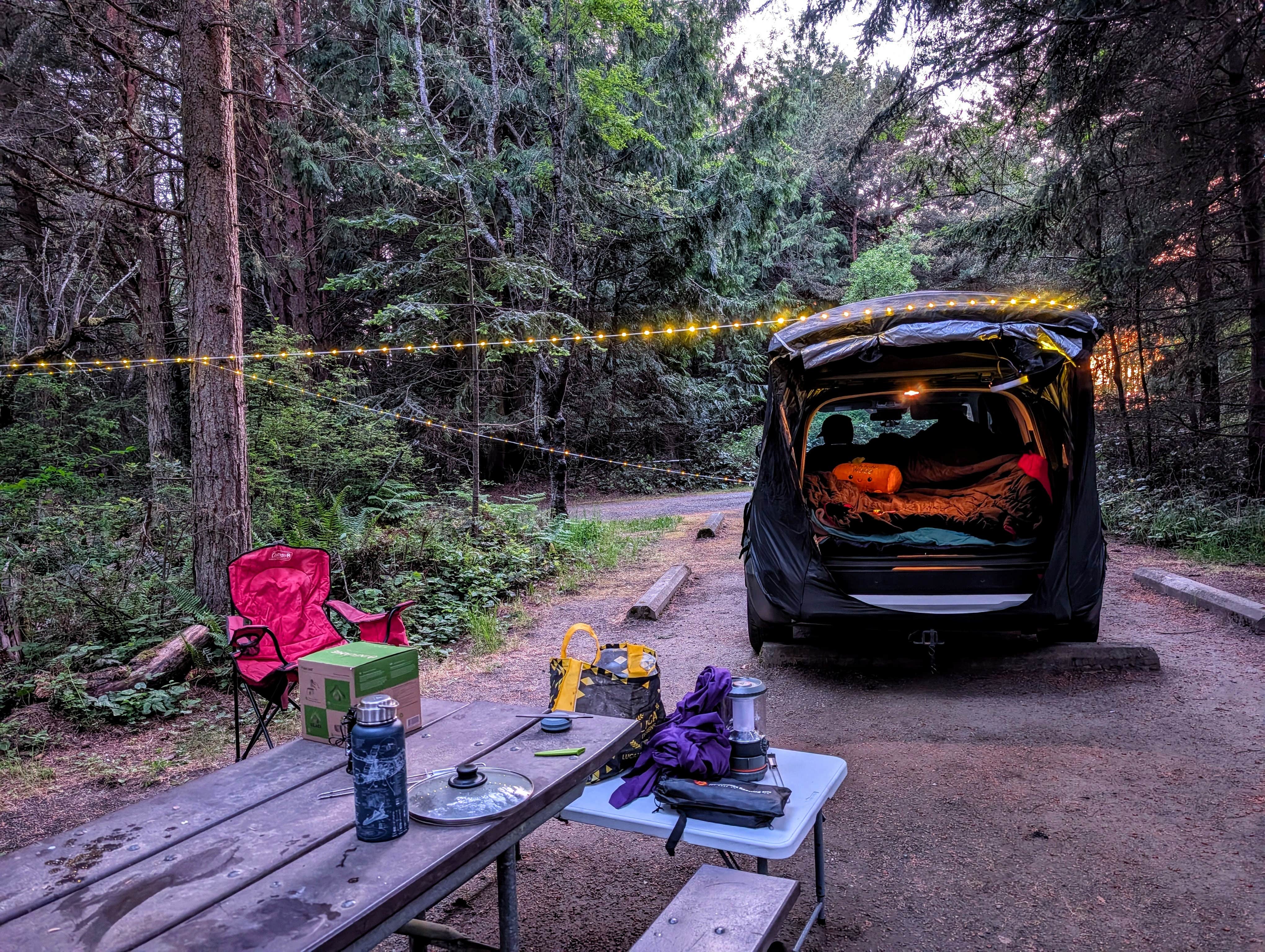 Camping near Deer Park Mountain View: Dungeness Recreation Area Clallam County Park, Carlsborg, Washington