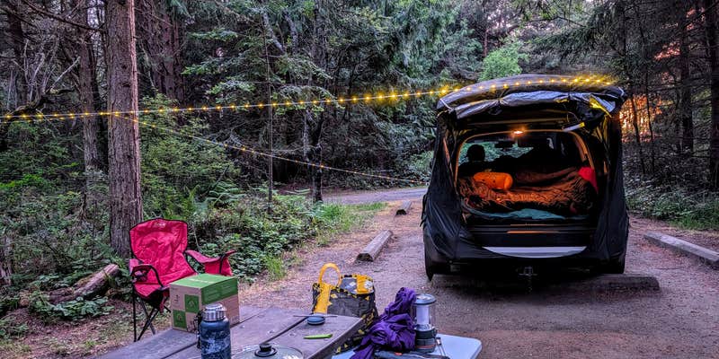 Camper submitted image from Dungeness Recreation Area Clallam County Park