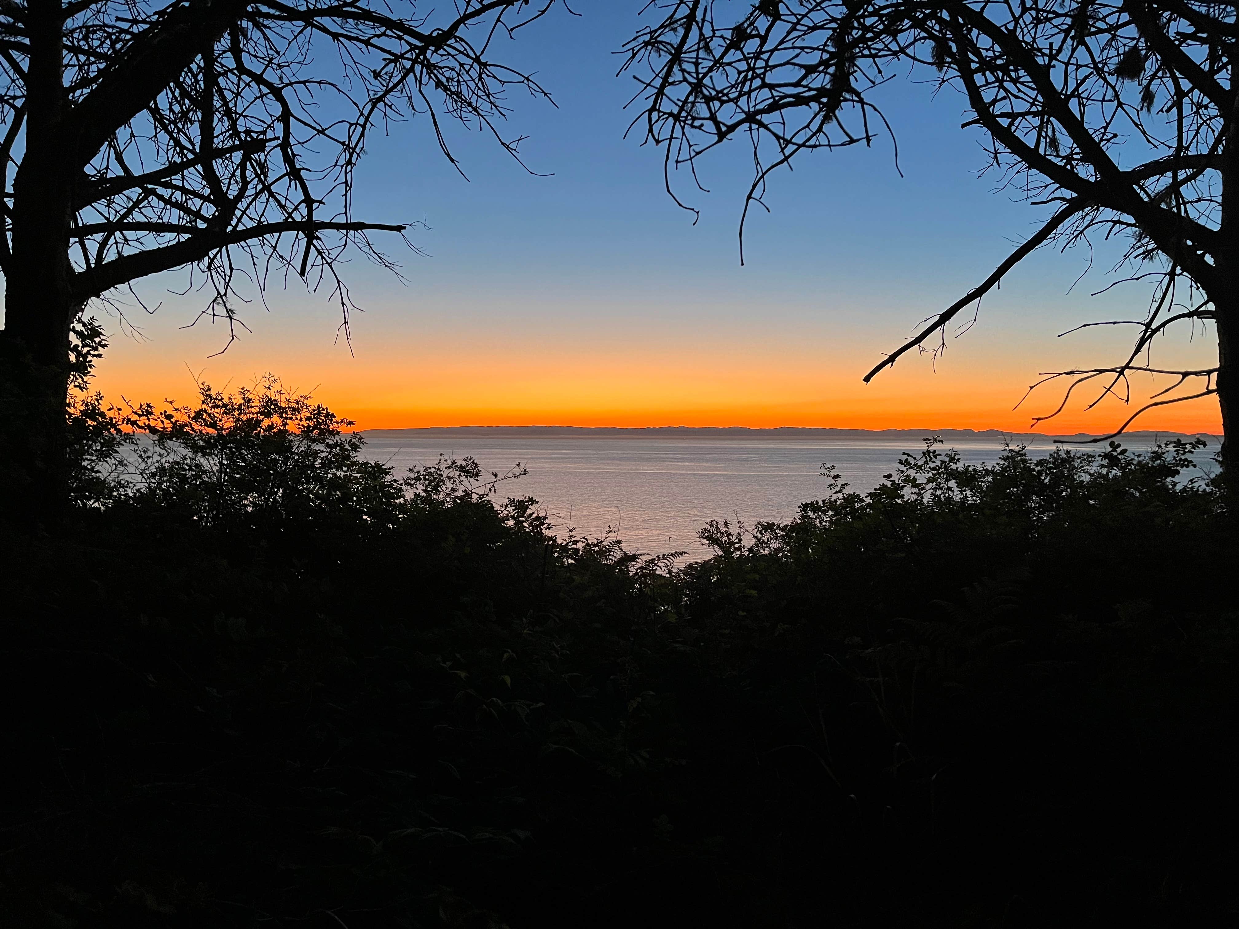 Camper submitted image from Dungeness Recreation Area Clallam County Park - 1