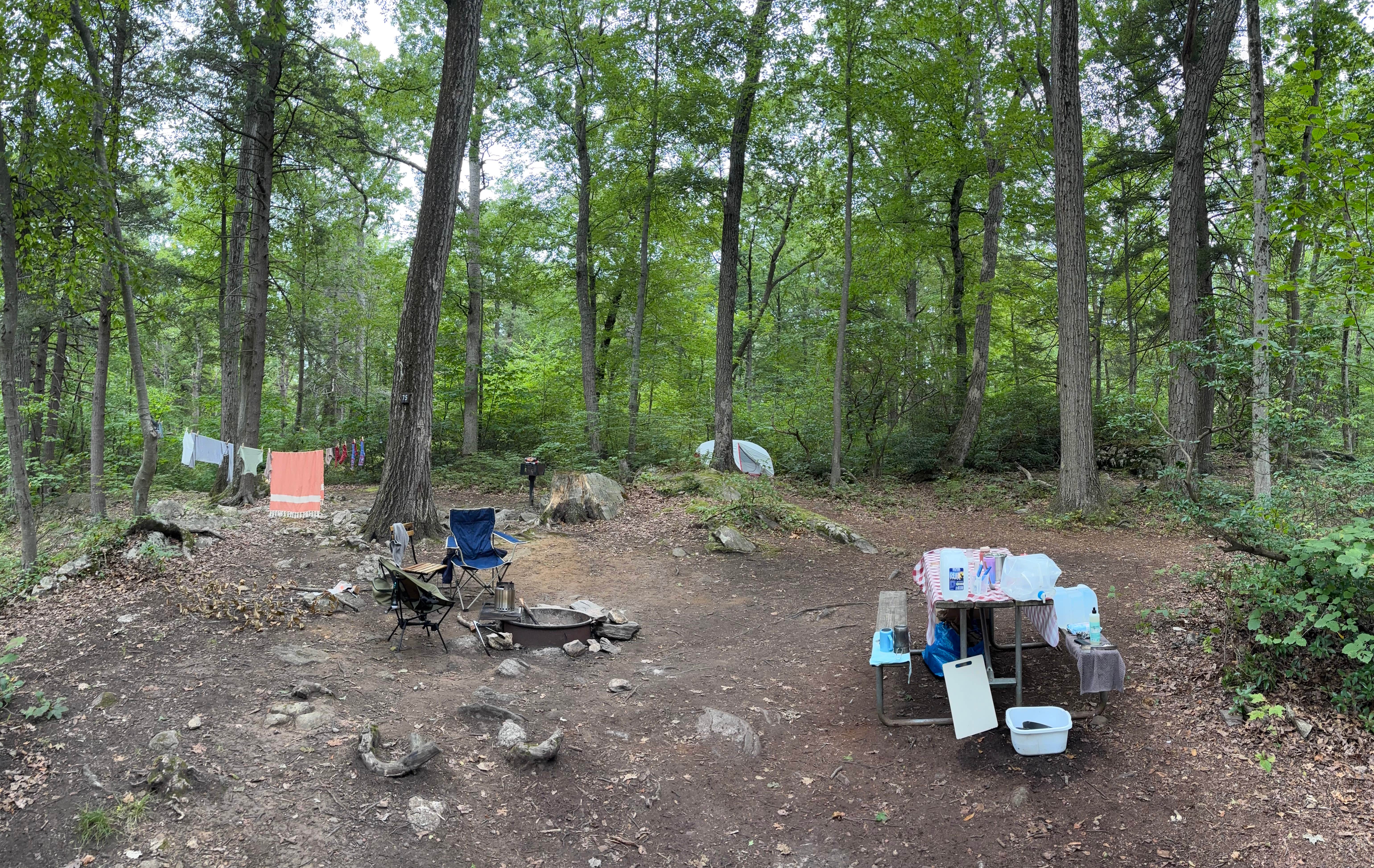 Kelly B.'s photo at Clarence Fahnestock State Park Campground near Sparkill, NY