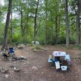 Review photo of Clarence Fahnestock State Park Campground by Kelly B., September 9, 2026