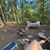 Review photo of Clarence Fahnestock State Park Campground by Kelly B., September 9, 2026